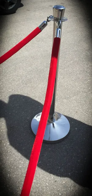 8ft Velour Stanchions (sectional)