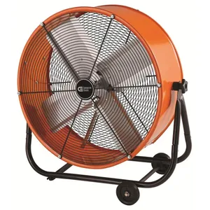 Large Fan 