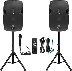 PA Speaker System 