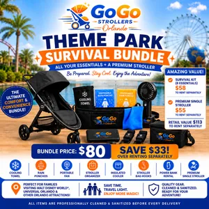 Stroller + Theme Park Survival Kit