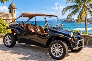 Electric Buggy