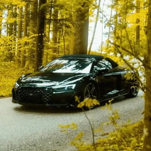 AUDI R8 V10 Performance Spyder