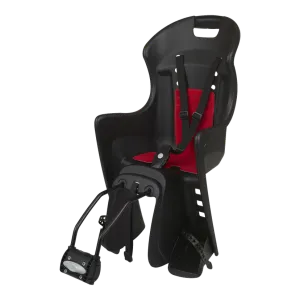 Adult Bike + Childs Bicycle Seat