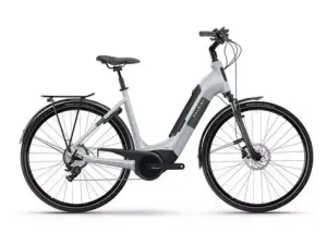 e-Bike: Raleigh Motus Low-step (M)