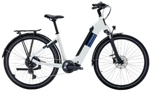 e-Bike: Raleigh Motus Low-step (S)