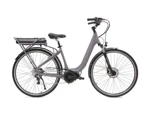 Vélo Électrique Arcade Vitality