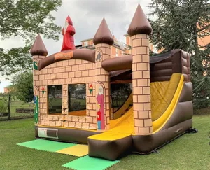 Castelul Wizard