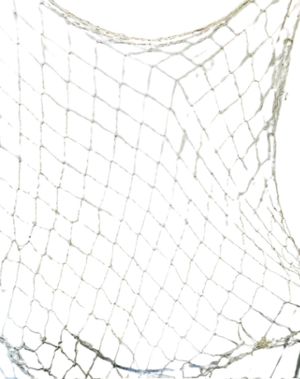 Beach net