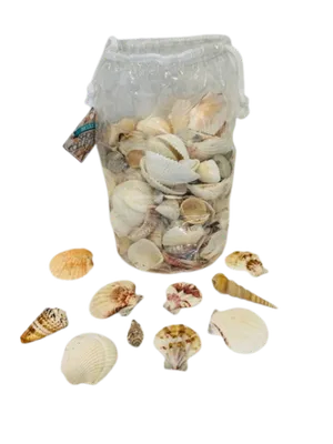 Bag of misc. shells