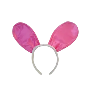 Bunny Ear headband
