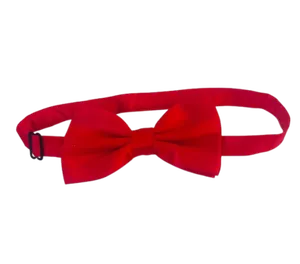 Red bowtie