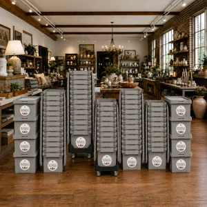 Retail Package (70 totes + 2 dollies)