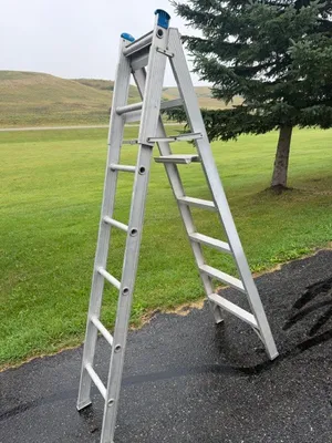 Light duty household ladder