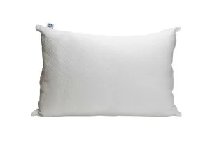 Pillow + Case - Standard (Queen)