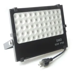 50W UV Light