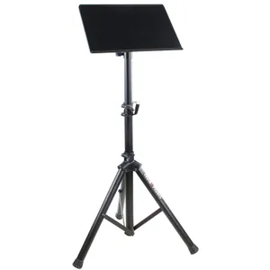 Projector/Laptop Stand