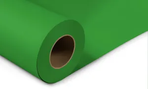 BC Stinger Green Seamless Paper Backdrop