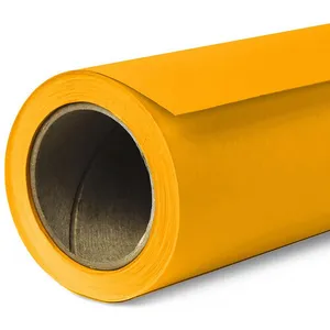 BC Yellow Orange Seamless Paper Backdrop