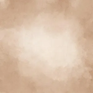 BC Abstract Brown Texture Backdrop