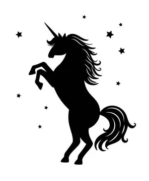 Unicorns Sleepover