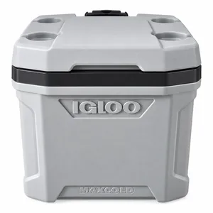 Igloo Cooler