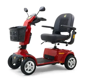Golden Technologies GC-440 (400 lbs weight capacity)