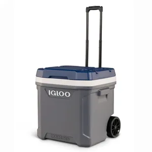 62 qt igloo cooler