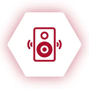 Speaker