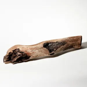 Rustic Weathered Tree Bark Natural Woodland Fragment Califonia Driftwood 11