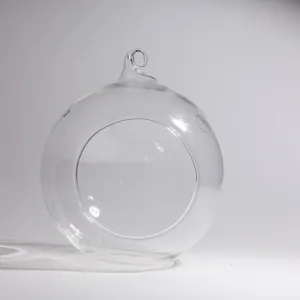 Clear Glass Hanging Terrarium Globe Orb Planter, Plant Pot, House Plant