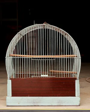 Vintage White Metal Dome Birdcage Plastic Base