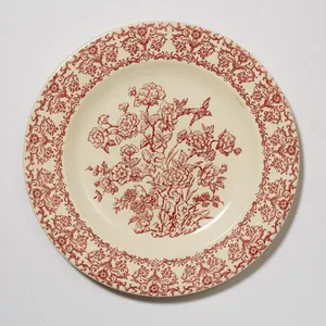 Vintage Royal and Bristol Red China dinner plate small - 9