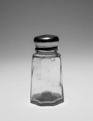 Diner Style Salt Shaker