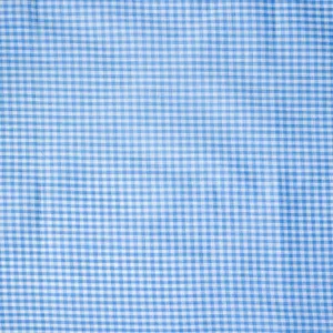 Vintage Fabric Blue and White Checkered - 41
