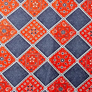 Vintage Fabric Blue and Red Big Checkers - 46