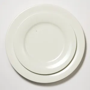 Plain White Dinner Plate Aspen Rim set - 10.75