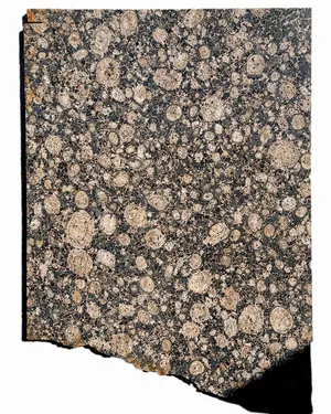 Tortoiseshell Granite Slab Surface