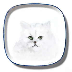 Square White Plate with Rounded Corners and Blue Edging 