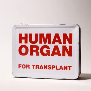 Vintage White Metal Human Organ Transplant Lunchbox White with Red Letters
