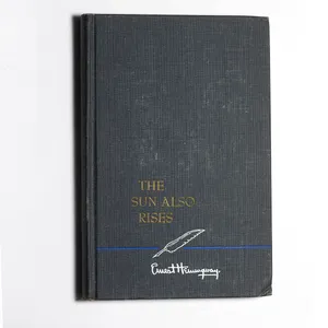 Hemingway - The Sun Also Rises  - 8.5