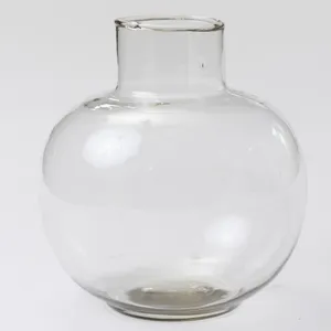Medium Globe Shaped Clear Flower Vase - 5.75