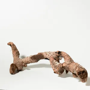 Rustic Weathered Tree Bark Natural Woodland Fragment California Driftwood cactus 20