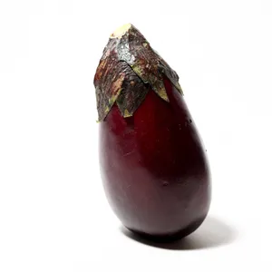 Shiny Purple Eggplant Vegetable faux Food Prop, Fake Food, Plastic Food