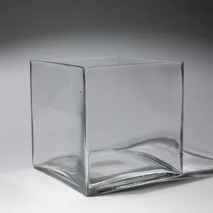 Clear Glass Cube Vase Modern Minimalist Centerpiece Flower Vase