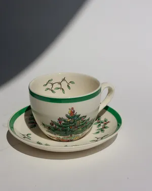 Vintage Spode 