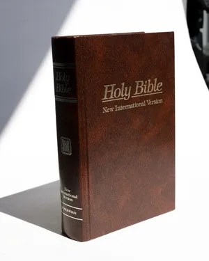Holy Bible Zondervan 1988 NIV New International Version Hardcover Brown