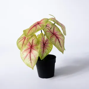 Caladium Bicolor artificial house plant - 10