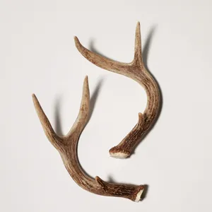 Matched Pair Natural Shed Deer Antlers Rustic Lodge Small