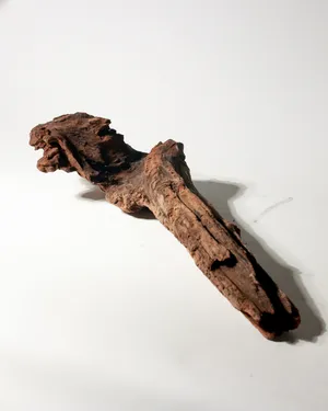 Rustic Weathered Tree Bark Natural Woodland Fragment California Driftwood 7