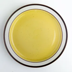 Extra Large Oversized Sunshine Yellow Stoneware Dinner Plate Diner Style